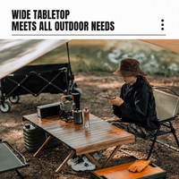 Grande table de pique-nique moderne en aluminium, réglable en hauteur, pliable, portable, capacité de charge de 100 kg, mobilier d'extérieur, jardin