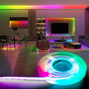 Dream Color 5V 12V 24V WS2811 WS2812B Tira de <span class=keywords><strong>LED</strong></span> RGB flexible Tira de luces inteligentes Tira de <span class=keywords><strong>LED</strong></span> Cob direccionable <span class=keywords><strong>para</strong></span> decoraciones - Product Image 5