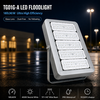 Projecteur LED intelligent à haute efficacité 60W-360W 180lm/W IP66 en aluminium moulé sous pression pour éclairage routier extérieur 0-10V CRI 70 Faisceau 70x140