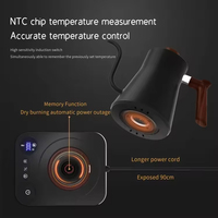 Bouilloire électrique à col de cygne réglable en acier inoxydable de 900 ml à ébullition ultra-rapide pour café filtre (OEM)