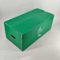Caisse à poivrons ventilée GreenTree en PP recyclable et écologique, en panneaux alvéolés, pour la logistique des récoltes agricoles et des légumes