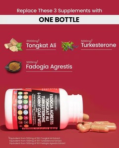 Integratore in Capsule a Marchio Privato con Fadogia Agrestis, Tongkat Ali, Turkesterone e Epimedium per Funzione Maschile e Muscolare - Product Image 3