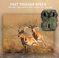 Caméra de surveillance de la faune BSTCAM Mini Point Connection & WiFi, contrôle par application, 4K 48MP, grand angle, étanche IP65