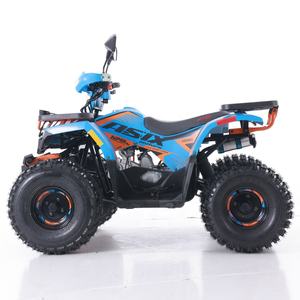Tao Motor 2024 Nuevo ATV 125 Cuatrimotos Chinas Baratas con Transmisión Automática por Cadena ATV para Granja <span class=keywords><strong>125cc</strong></span> - Product Image 5