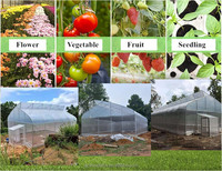 Petite serre agricole tropicale à toit dentelé en PE avec systèmes complets