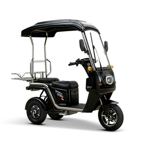 <span class=keywords><strong>Tricycle</strong></span> électrique 2 places avec auvent et porte-bagages, scooter à 3 roues pour personnes âgées, charge utile de 200-300 kg, autonomie de 50-70 km - Product Image 1