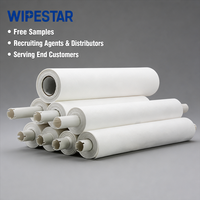 Rouleau de lingettes non tissées WIPESTAR pour pochoirs SMT, lingettes industrielles en cellulose sans peluches pour salles blanches, pour machine d'impression MPM