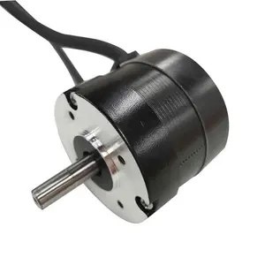 12V , 24V ,36V Brushless Dc Motor, DC Brushless Motor, Bldc Động Cơ Cho 50W, 100W, 200W, 300W,400W, Tùy Chỉnh Chấp Nhận