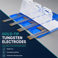 Électrodes en tungstène à pointe bleue TIG 150 mm pour soudeurs professionnels, boîtier mobile, corps d'électrode durable, qualité constante, boîte de rangement