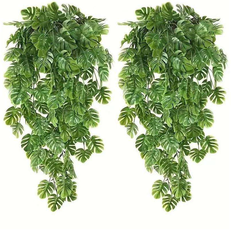 Vigne monstera de 69 commandes