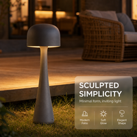 Lumière de jardin haute luminosité, éclairage large surface, contrôle à distance par application, réglage intelligent pour les développeurs immobiliers commerciaux
