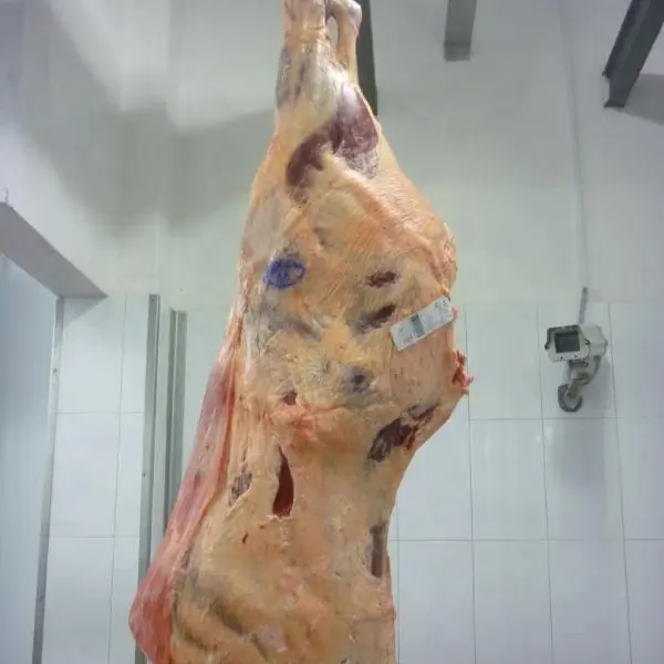 Замороженная говядина/Крупный рогатый скот/мясо буйвола халяль
