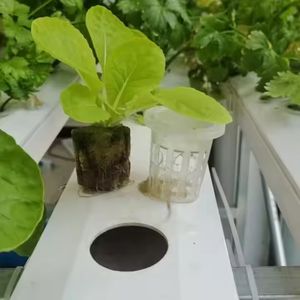 Grande serre <span class=keywords><strong>agricole</strong></span> complète avec <span class=keywords><strong>kit</strong></span> de culture hydroponique NFT et canaux <span class=keywords><strong>en</strong></span> PVC de qualité alimentaire anti-UV durables - Product Image 5