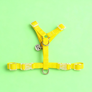 Arnés de perro en forma de Y recubierto de PVC impermeable de moda de lujo duradero Simple moderno reflectante personalizado accesorio para mascotas OEM - Product Image 1