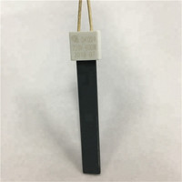 Allumeur en céramique de nitrure de silicium 1000W Si3N4 pour poêle à granulés