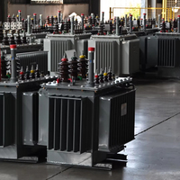 OEM immergé dans l'huile triphasé standard 800kva 11-0.4kv d'enroulements de cuivre de transformateur ou d'enroulements en aluminium soutenu