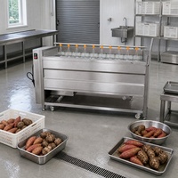 Machine à laver les légumes à rouleaux brosse en acier inoxydable SUS304 à tension personnalisée, équipement de lavage et d'épluchage pour pommes de terre, gingembre et carottes