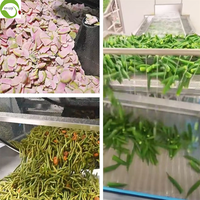 VF Vacuüm Gefrituurde Gedroogde Fruit- en Groentesnacks Bulk Klaar om te Eten Gemengde Smaken