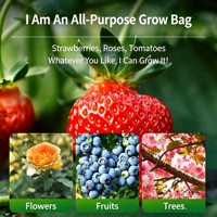 Offre Spéciale – Sacs de culture en tissu de 4 gallons pour semis, pots de pépinière, jardinières et sacs de culture pour légumes