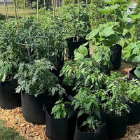 Sac de culture en feutre réutilisable et écologique avec poignées, noir/vert, pots de plantation en tissu résistant pour plantes