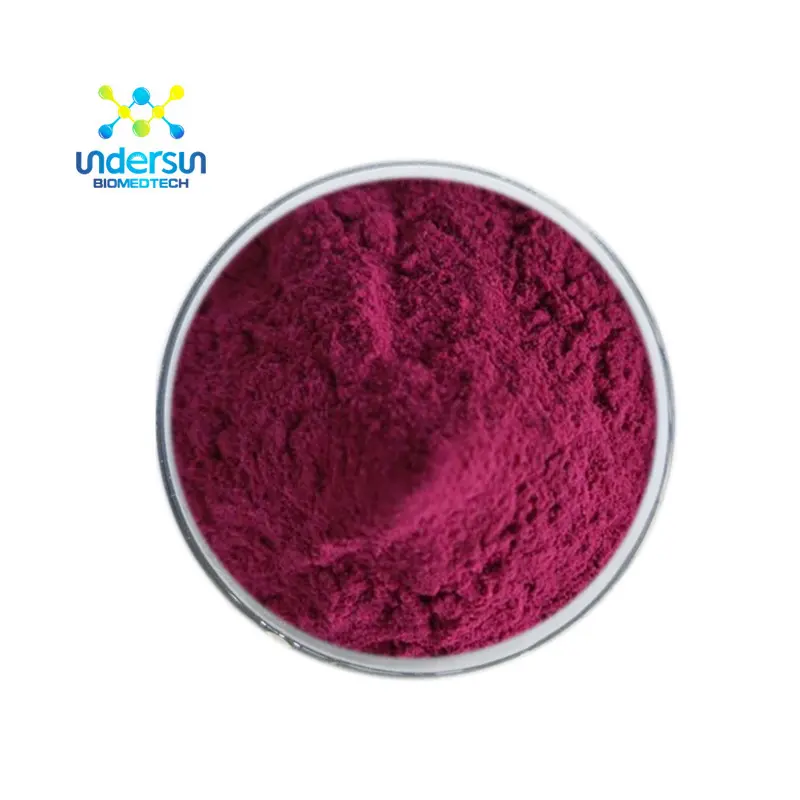 Undersun supply free sample organic acai berry powder for food and beverage