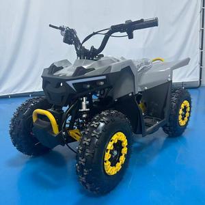 Mini <span class=keywords><strong>Quad</strong></span> Électrique pour Enfants avec Transmission Automatique, Transmission par Chaîne, Puissance 500-<span class=keywords><strong>800W</strong></span>, Vitesse 50Km/h, <span class=keywords><strong>36V</strong></span> - Product Image 1