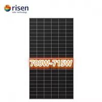 Panneau solaire bifacial HJT hyper-ion Risen 700W 705W 710W 715W Modules solaires PV pour les meilleurs systèmes PV domestiques