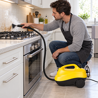 Nettoyeur Vapeur Haute Pression Professionnel avec Brosse Grattoir pour Nettoyage en Profondeur des Graisses de Cuisinière – Fournisseur OEM ODM