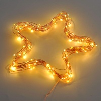 Alibaba Bestseller 33 Fuß batteriebetriebene Led-String-Lichter für draußen aa-Batterie märchenlichter