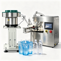 Ligne de production d'eau en petites bouteilles, machine de remplissage et de bouchage automatique, remplisseuse multifonctionnelle de sachets, équipement de remplissage de sachets à bec verseur