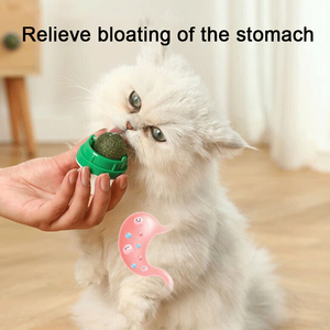 New Rotatable Catnip Ball Wall Sucker Lick Treat Toys Self-Licking Feature Teeth <strong>Cleaning</strong> Bite-Resistant Relieving <strong>Stuff</strong> for Pet - Product Image 3