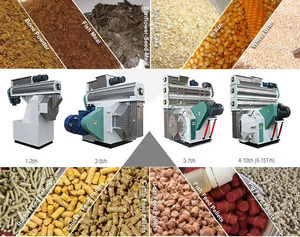 Moulin à granulés triphasé à alimentation moyenne, installé en usine, 1 T/h, pour aliments pour poissons <span class=keywords><strong>et</strong></span> luzerne, ensemble <span class=keywords><strong>complet</strong></span> au Nigeria - Product Image 2