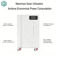 Batería de Iones de Litio Lifepo4 de 51.2V 300AH, Batería Solar Híbrida de 51.2V, Montaje en Pared, Almacenamiento de Energía Doméstica, Ciclo Profundo Lifepo4, BMS
