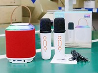 Haut-parleur Karaoké Portable en Tissu avec Double Micro Sans Fil et Lumières LED RGB pour Enceinte de Fête Extérieure en Plastique 5.3