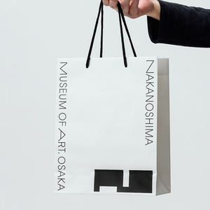 Toptan Özel Kağıt Çanta Baskı Hizmeti, Lüks Hediye Çantaları, Dayanıklı Baskılı Karton, İş Tanıtımı - Product Image 3