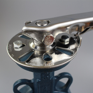 Vanne papillon à disque en fonte ductile, acier inoxydable, AWWA ISO DIN, manuelle, revêtement PTFE, haute température, pour eau et huile, JRVAL - Product Image 2