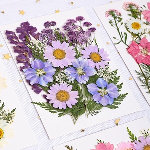 Pétalos de <span class=keywords><strong>Flores</strong></span> <span class=keywords><strong>Silvestres</strong></span> <span class=keywords><strong>Preservadas</strong></span>, <span class=keywords><strong>Flores</strong></span> Prensadas para Manualidades, <span class=keywords><strong>Flores</strong></span> Secas Planas para Resina, <span class=keywords><strong>Flores</strong></span> Prensadas para Manualidades y Marcos - Product Image 3