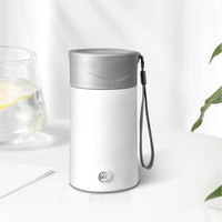 Bouteille chauffante électrique en acier inoxydable Bouilloire Chauffe-eau Tasse Portable Voyage Électrique Tasse Source Fabricants Cadeau