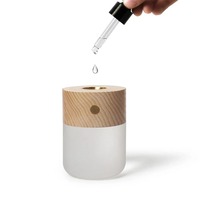 Diffuseur d'arôme sans eau portable Sédatif de chambre de lumière de sommeil avec chauffage silencieux pour la dispersion d'huile essentielle