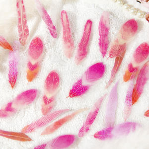 40 unids/pack DIY serie de plumas de fantasí<span class=keywords><strong>a</strong></span> diario de mascotas Pegatinas transparentes decorativas acabado de superficie de estampado dorado para Base de Collage - Product Image 3