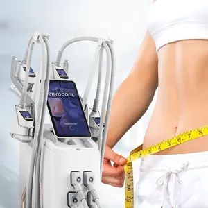 Mesin pembeku lemak cryoliphyse pelangsing tubuh 5 pegangan 360 Cryolipolysis