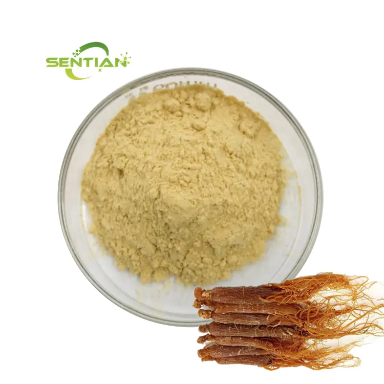 Panax-extracto de raíz de Ginseng, extracto de Ginseng, polvo de Ginseng rojo coreano, alta calidad, fabricación de fábrica