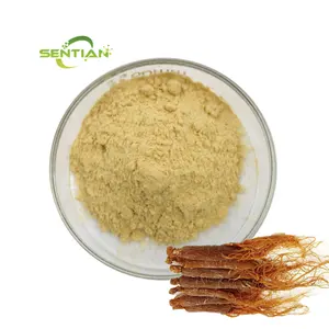 Factory manufacture High Quality Panax Ginseng Root Extract Ginseng Extract Korean Red Ginseng Powder