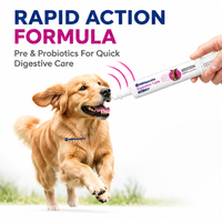 Gel Probiotique Rapide pour Chiens - Soin Digestif - Ingrédients à Action Rapide - Absorption Rapide - Saveurs Entièrement Naturelles - Pour Grands Chiens
