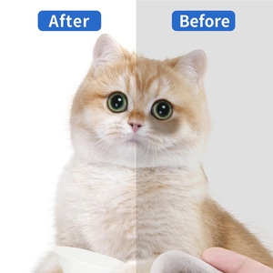 Vente en gros usine : Meilleures <span class=keywords><strong>lingettes</strong></span> nettoyantes <span class=keywords><strong>pour</strong></span> <span class=keywords><strong>les</strong></span> yeux des animaux, kit de lavage oculaire <span class=keywords><strong>pour</strong></span> chiens, <span class=keywords><strong>lingettes</strong></span> jetables <span class=keywords><strong>pour</strong></span> le soin des yeux, <span class=keywords><strong>pour</strong></span> un nettoyage en profondeur des animaux, fournitures de toilettage - Product Image 3