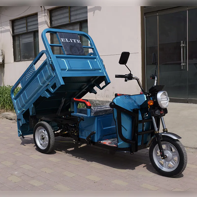 Triciclo elétrico motorizado de carga para adultos, novo design, preço de fábrica, 3 rodas, triciclo elétrico para motocicleta, 3 rodas, adulto