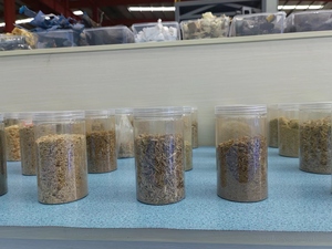 Bolida & ROTEX caliente eficiente YGFC65 * 100 Molino de martillo con colector de polvo de pulso para virutas de astilladora de madera tallos de cultivos - Product Image 6