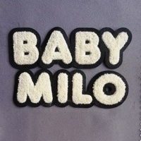 Patchs chenille brodés en 3D en plastique durable avec lettres et chiffres 3D, logo pour vestes à capuche, vente en gros sur mesure