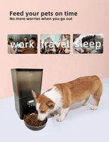 Distributeurs automatiques de nourriture pour chats et chiens, distributeur de nourriture sèche pour animaux de compagnie respectueux de l'environnement, fonction de minuterie, contrôle par bouton, bols, application d'eau