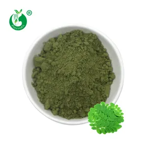 Wholesale Hot Selling 100% Pure Natural Bulk Price Moringa Oleifera Leaf Powder